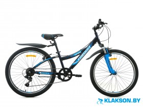 Велосипед Favorit Space 24 V 