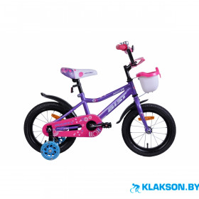 Велосипед AIST Wiki 14