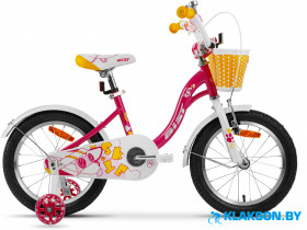 Велосипед AIST Skye 20