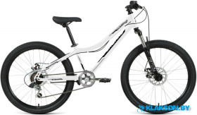 Велосипед Forward Titan 24 2.0 Disc
