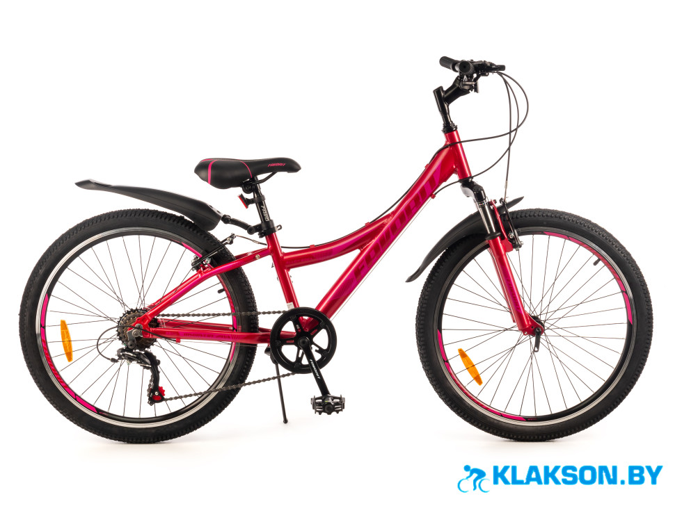 Велосипед Favorit DISCOVERY-24VA