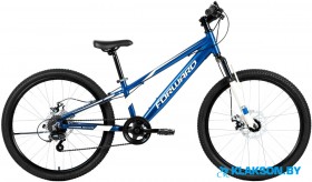 Велосипед Forward Rise 24 2.0 Disc 2021